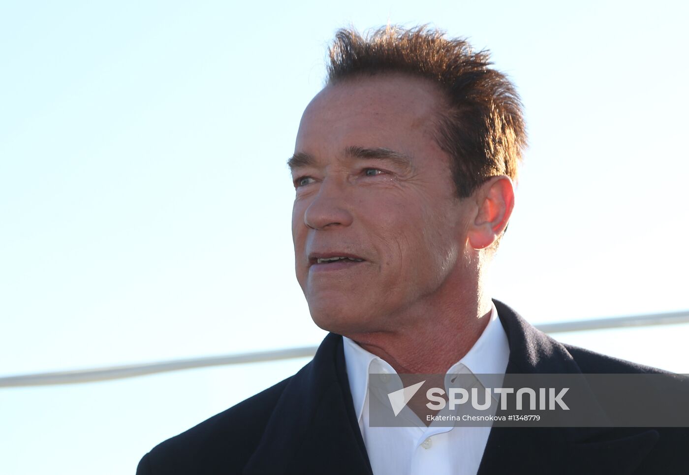 Arnold Schwarzenegger and Johnny Knoxville at photocall