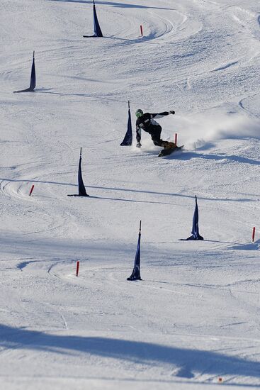 World Snowboarding Championships: Training