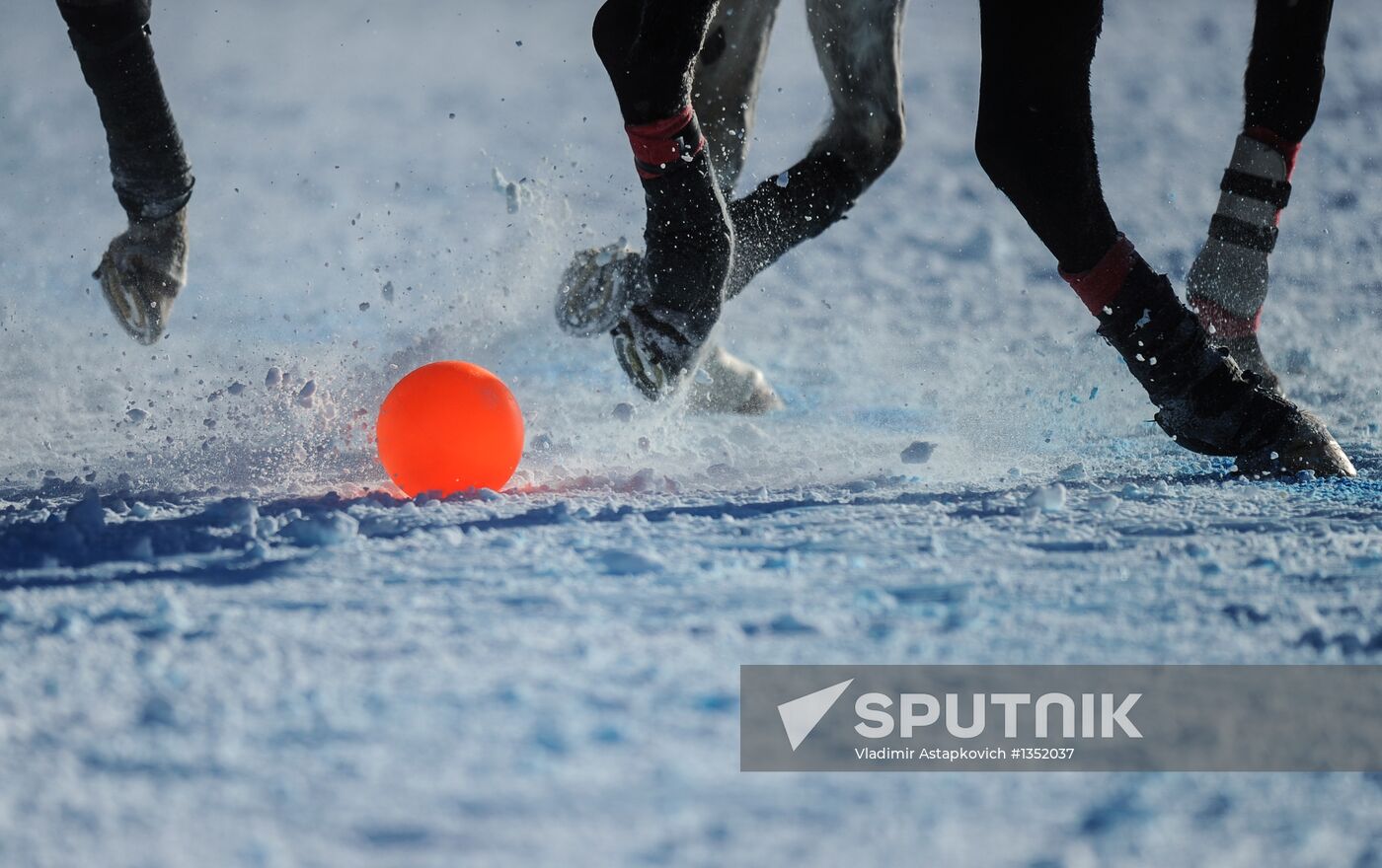Polo on snow. World Championships
