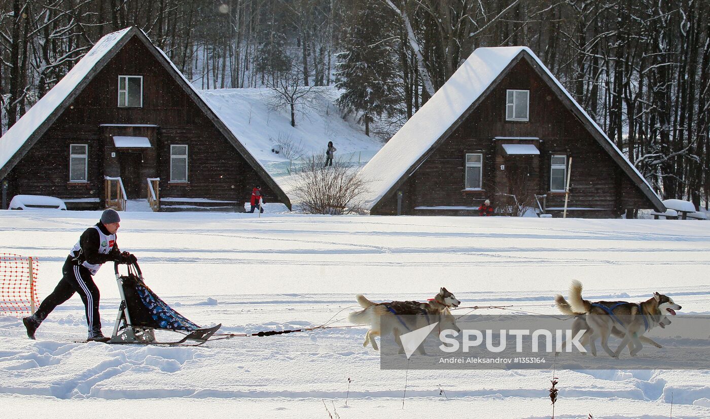 Zavirukha 2013 dog sled race