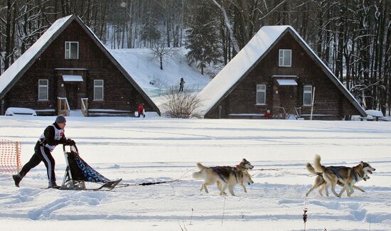 Zavirukha 2013 dog sled race
