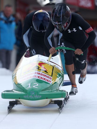 FIBT Bobsleigh and Skeleton World Championships. Day three