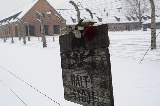 Opening of new Russian exhibition at Auschwitz museum