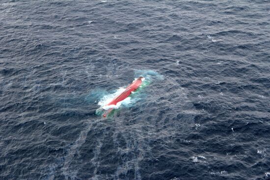 Search for sailors of Shans-101 ship that sank in Sea of Japan