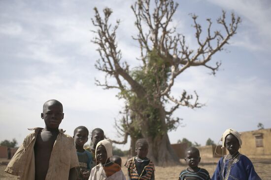 Armed conflict in Mali