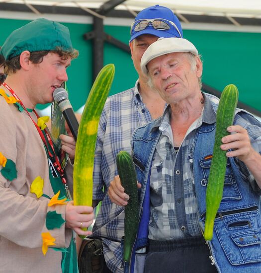 Cucumber Festival