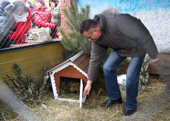 Animals give weather forecast on Groundhog Day