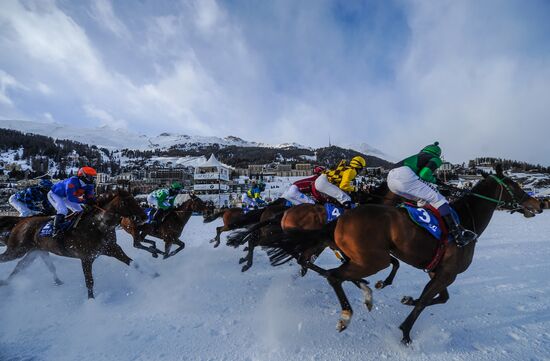 White Turf 2013 St.Moritz Horse Race