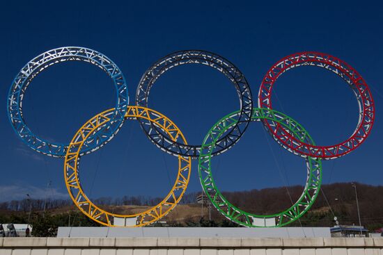 Olympic rings installed near Sochi Airport