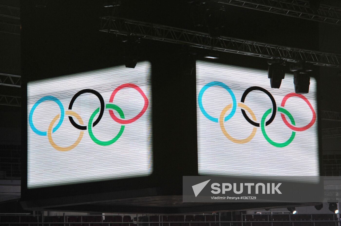 Symbols of the 2014 Olympics