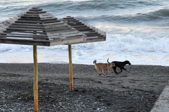 Cities of Russia. Sochi