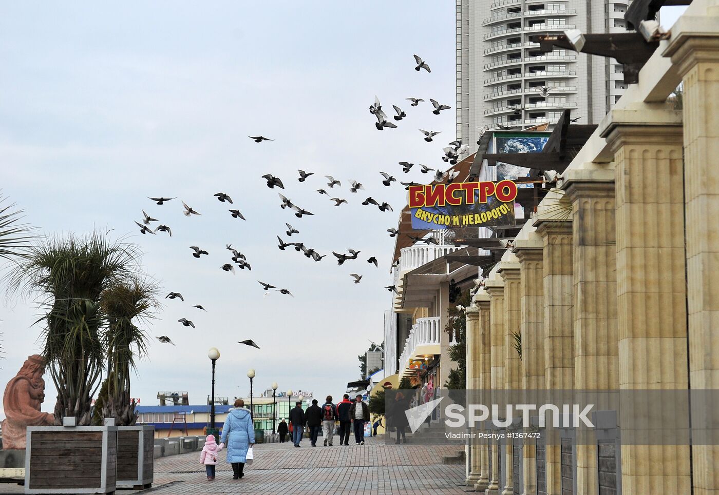 Cities of Russia. Sochi