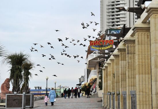 Cities of Russia. Sochi