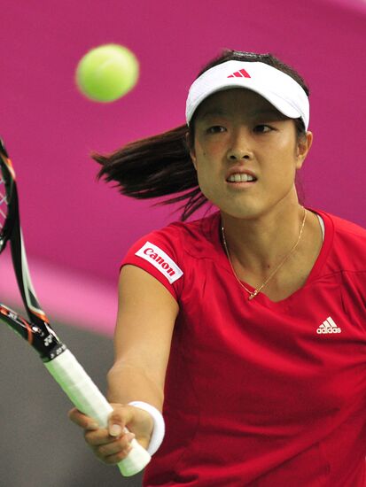Tennis. 2013 Fed Cup. Russia vs Japan. Day Two
