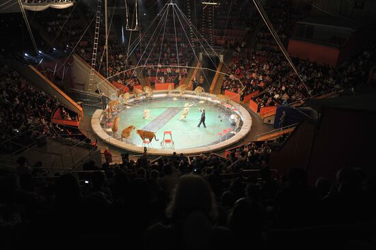 Shows at Sochi State Circus