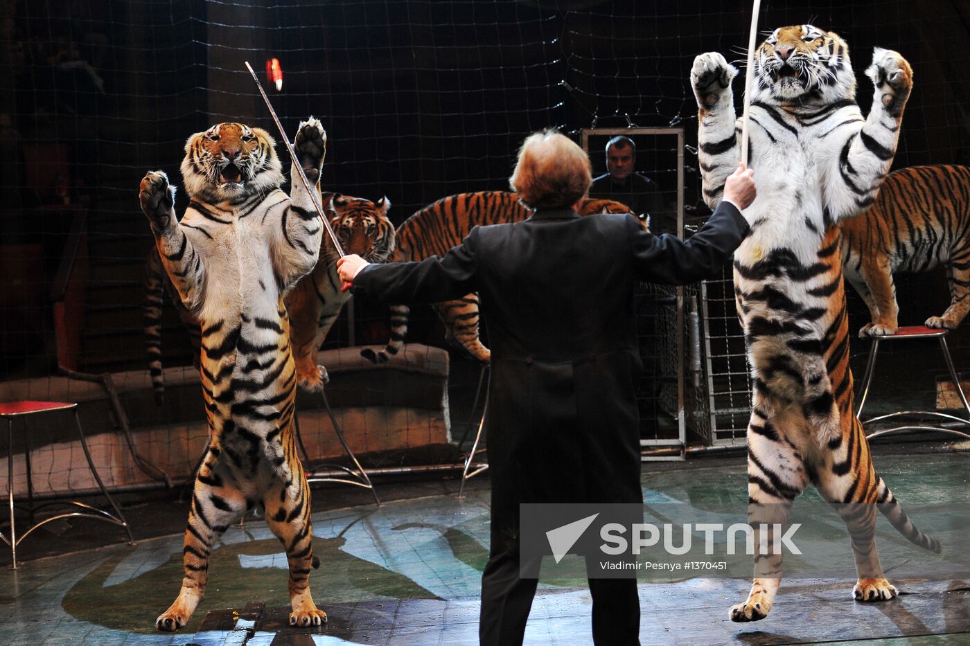 Shows at Sochi State Circus