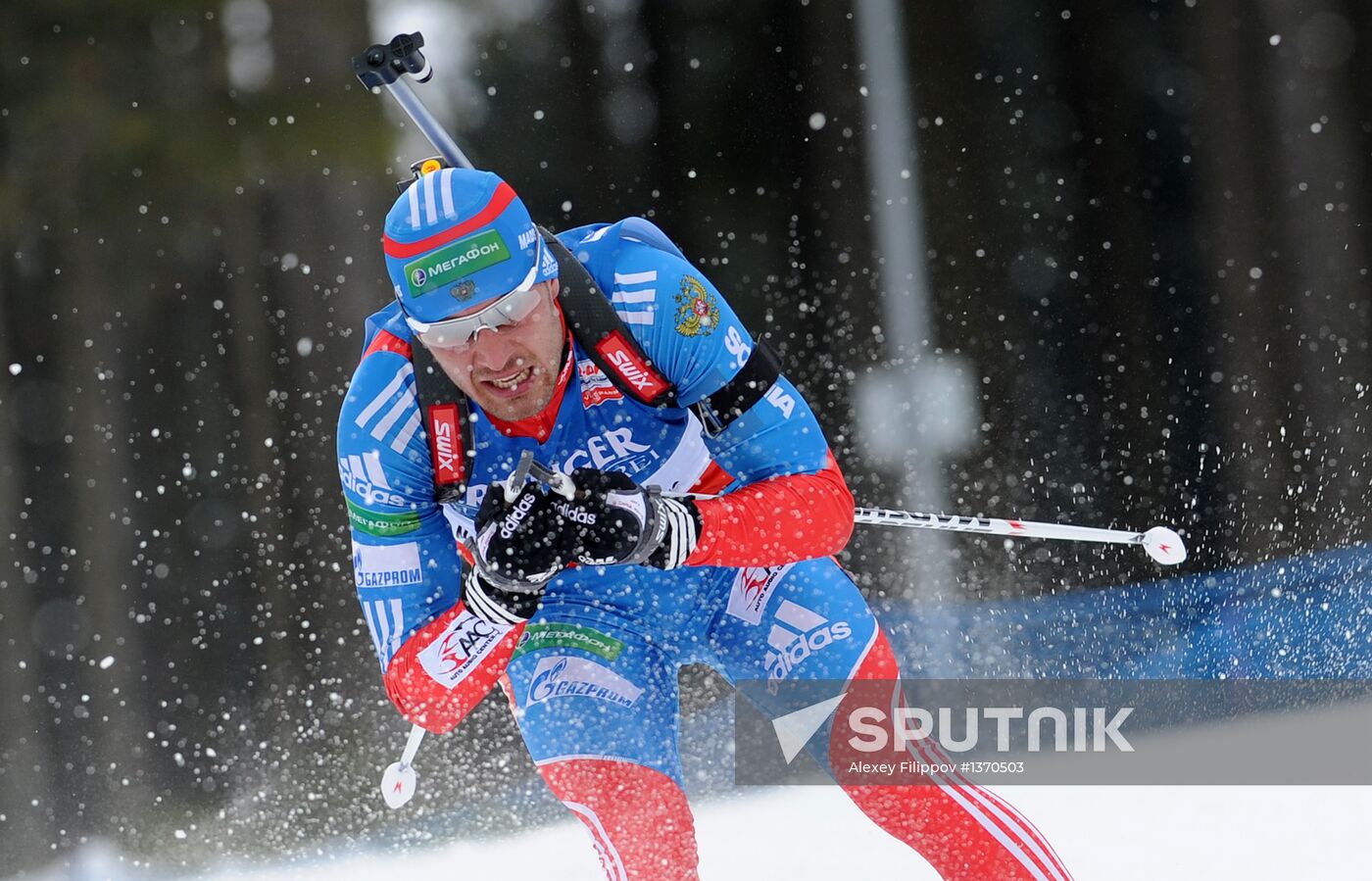 Biathlon World Championships. Men's pursuit