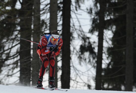 Biathlon World Championships. Men's pursuit
