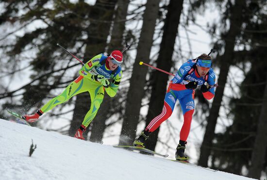 Biathlon World Championships. Men's pursuit