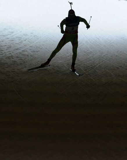 Biathlon World Championships. Men's pursuit
