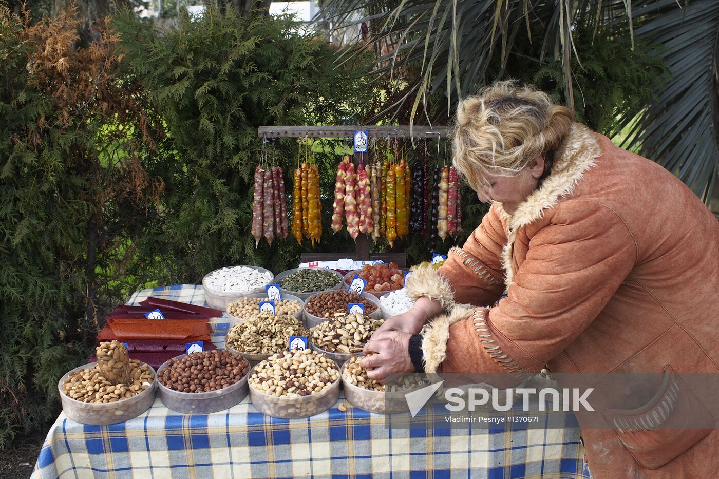 Cities of Russia. Sochi