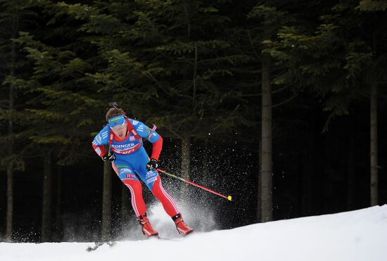 Biathlon World Championships. Men's pursuit