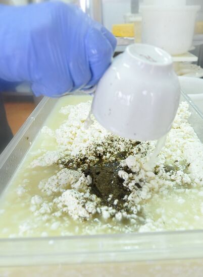 Foreign farmers in Russia