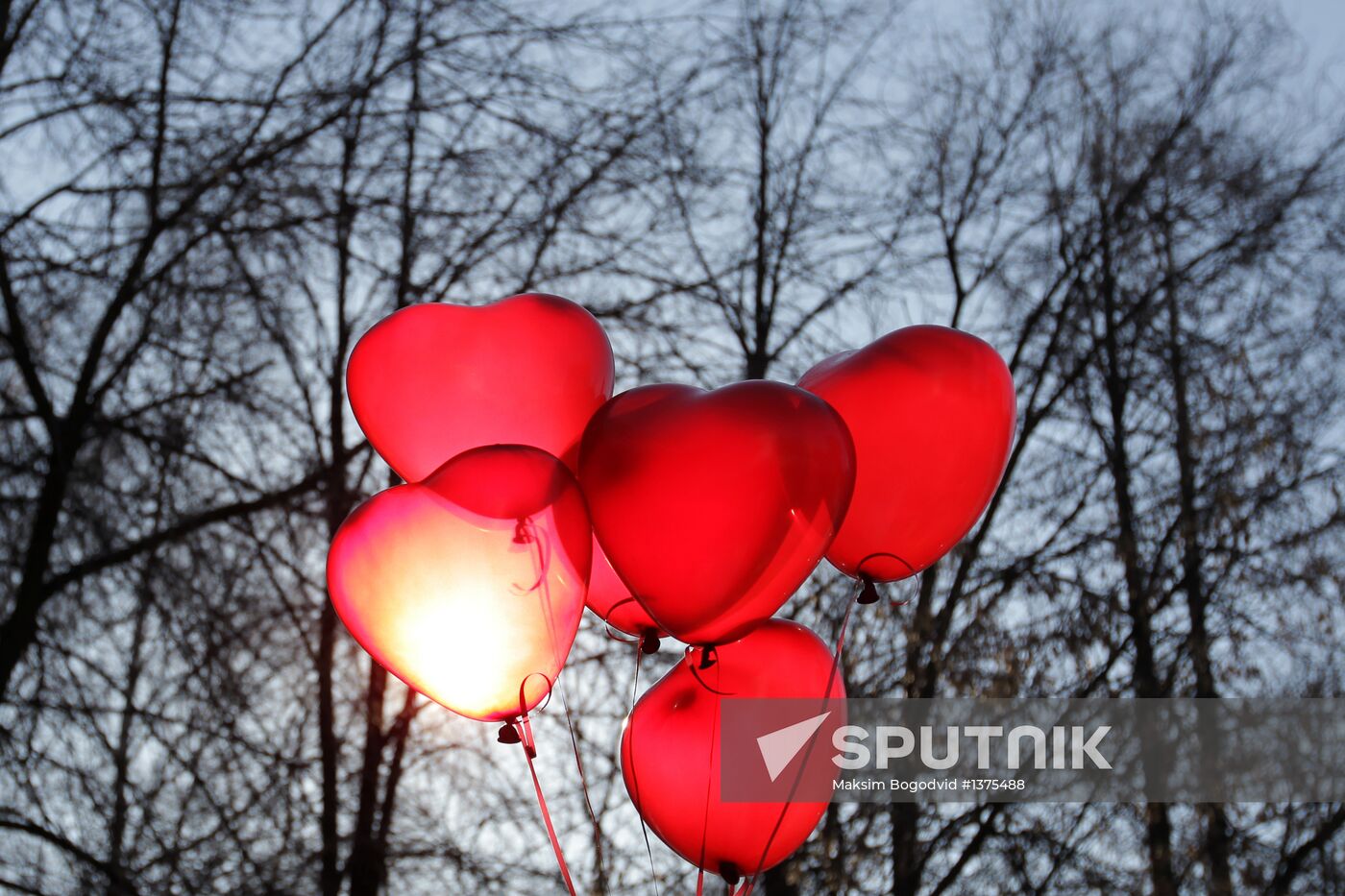 Celebrating St. Valentine's Day