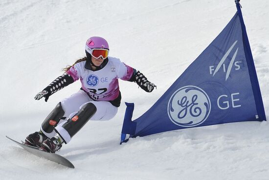 FIS Snowboard World Cup. Parallel Giant Slalom