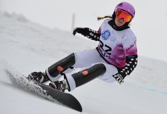 FIS Snowboard World Cup. Parallel Giant Slalom