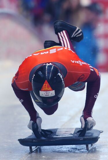 Skeleton. IX World Cup. Test events