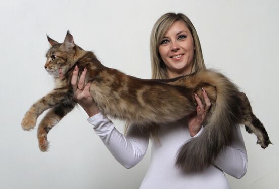 International Cat Show in Bishkek