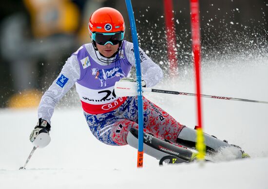 FIS Alpine World Ski Championships. Men's slalom