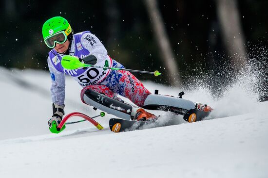 FIS Alpine World Ski Championships. Men's slalom