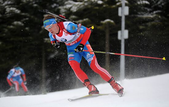 Biathlon World Championships. Men's Mass Start