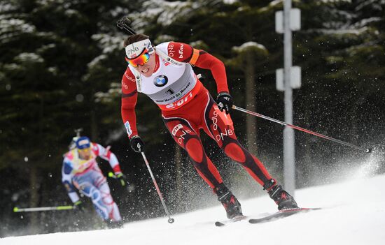Biathlon World Championships. Men's Mass Start