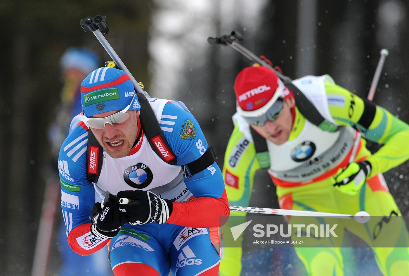 Biathlon World Championships. Men's Mass Start