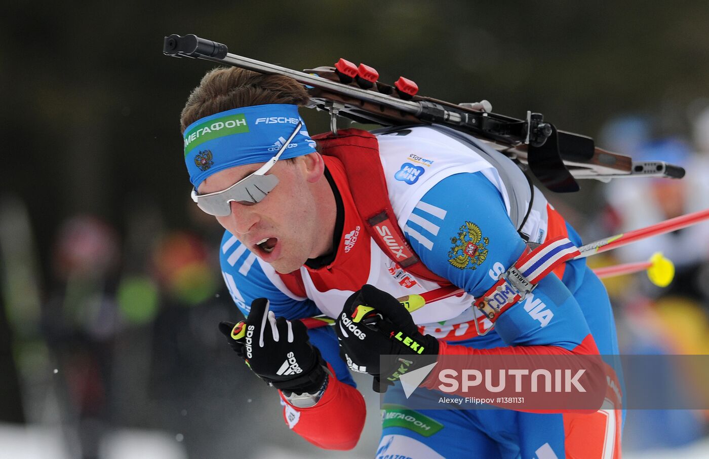 Biathlon World Championships. Men's Mass Start