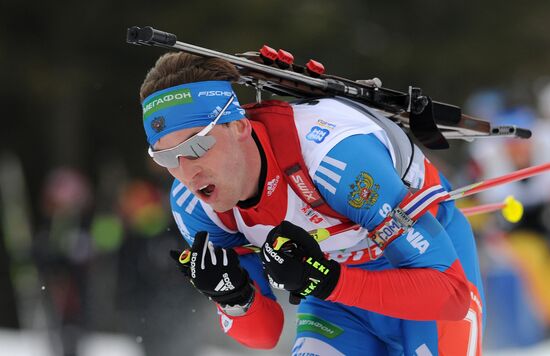 Biathlon World Championships. Men's Mass Start