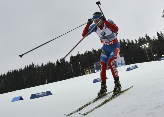 Biathlon World Championships. Men's Mass Start