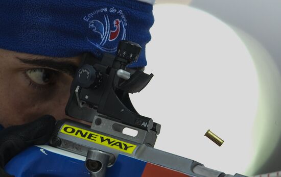 Biathlon World Championships. Men's Mass Start