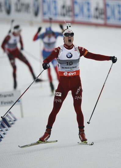 Biathlon World Championships. Men's Mass Start