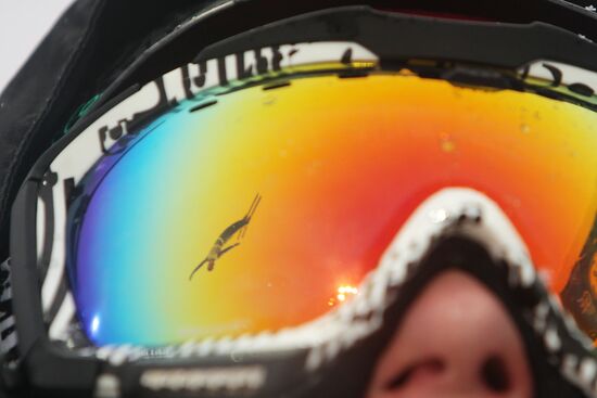 Freestyle skiing. World Cup stage. Aerials