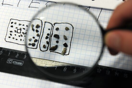 Scientists analyze structure of fallen meteorite