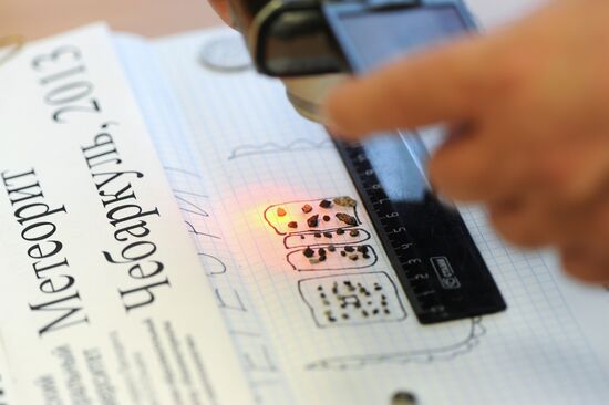 Scientists analyze structure of fallen meteorite