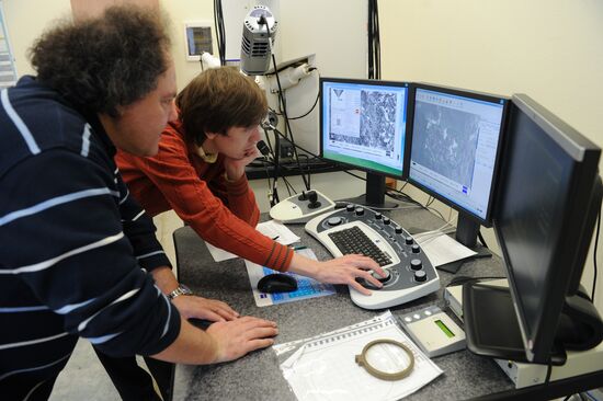 Scientists analyze structure of fallen meteorite