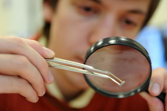 Scientists analyze structure of fallen meteorite