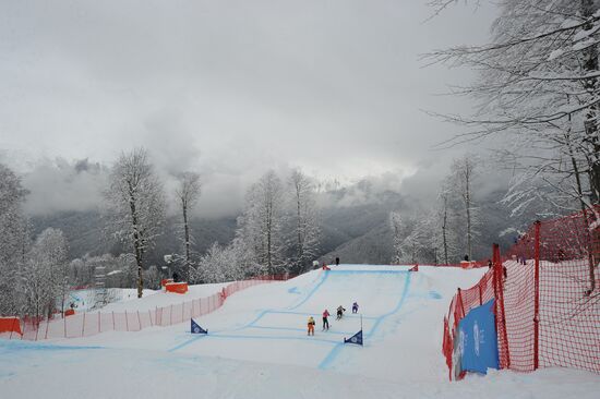 Freestyle skiing. World Cup stage. Ski cross finals