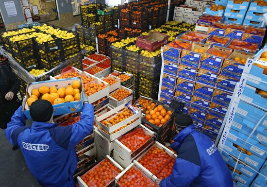 Wholesale depot of Vester Group of Comapines in Kaliningrad