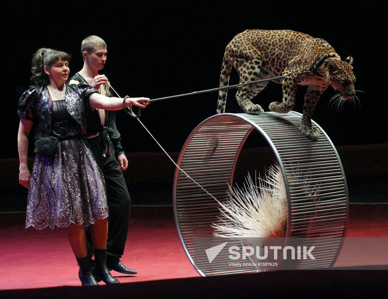 "XXI Century Soviet Circus" show in Vladivostok